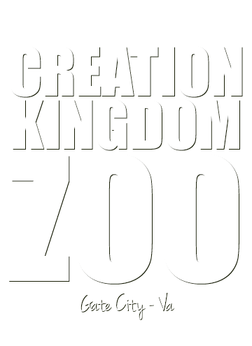 creation kingdom zoo on fire